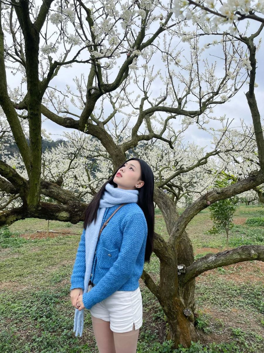 du lịch mộc châu