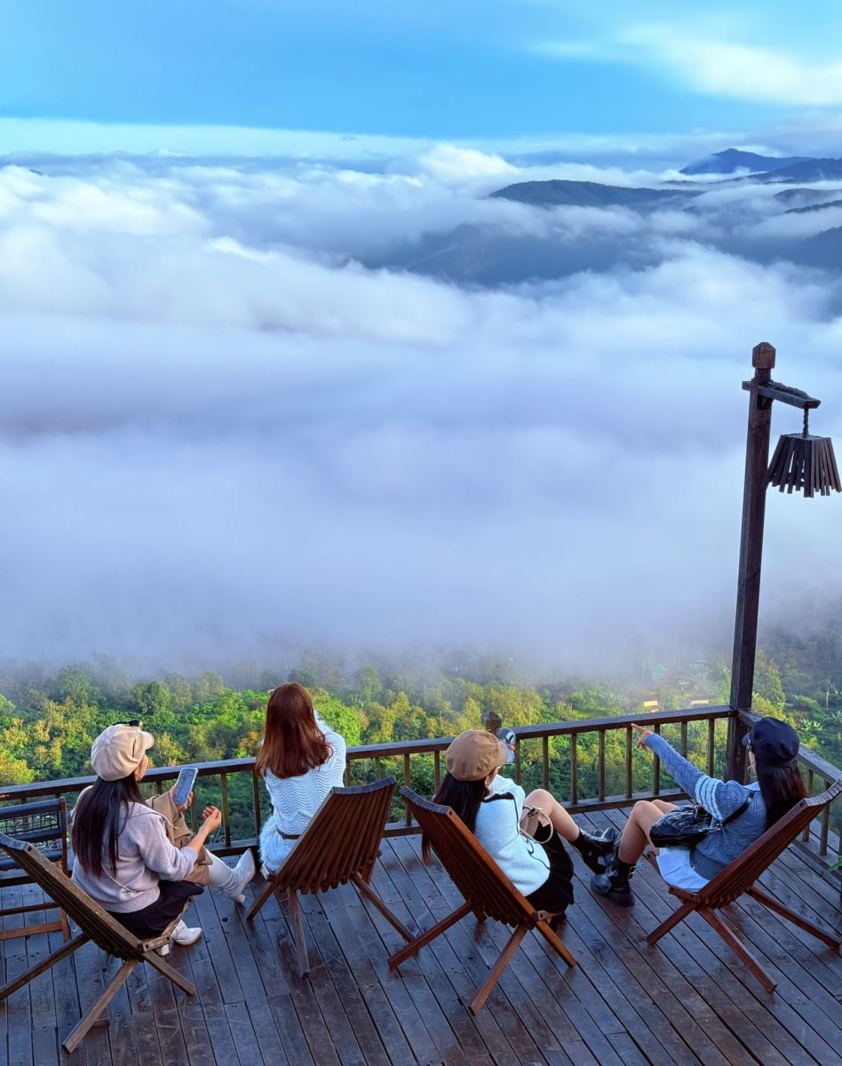 săn mây cầu đất